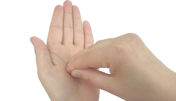 t0122b22b0e8ceb3b79.png
