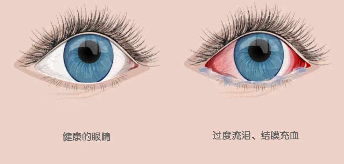微信图片_20240410153928.jpg