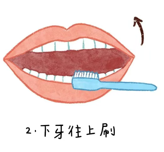 微信图片_20241107145719.png